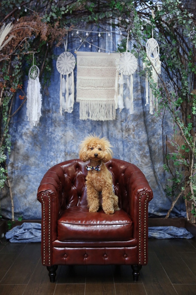 主役はこの子♡