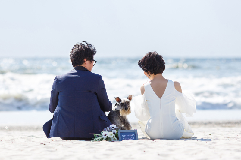 わんちゃんと海でフォトウエディング