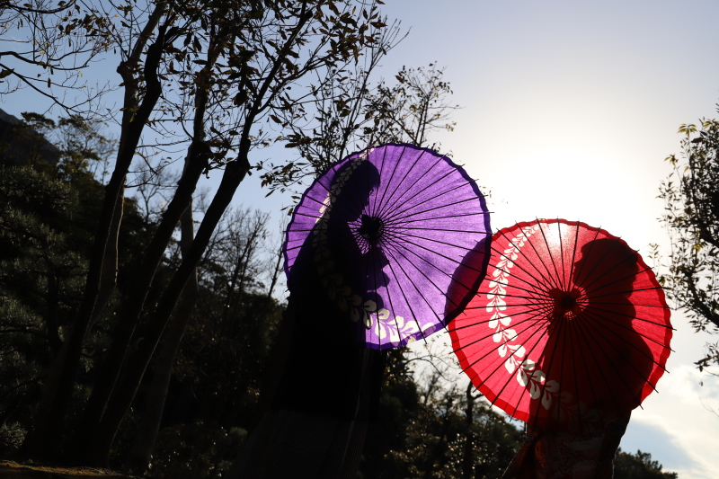 影で撮るお写真♡