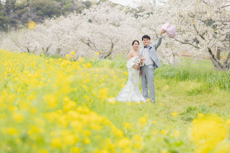 桜と菜の花に包まれる春の華やかロケーション