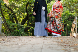 新録の元でも映えるお着物で