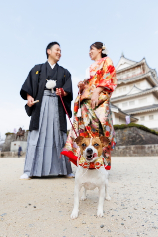 わんちゃんとお城で