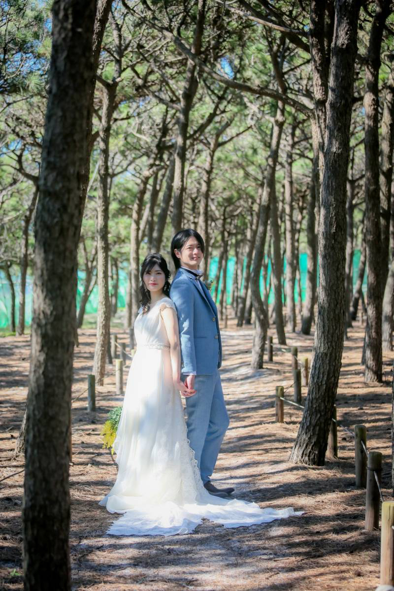 遊歩道の木々から