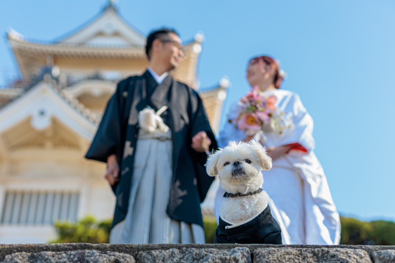 ritaさん確認用 まなん 