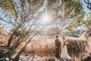 プラン内撮影データ