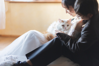 Rita closet・Rita Photo_Rita studio