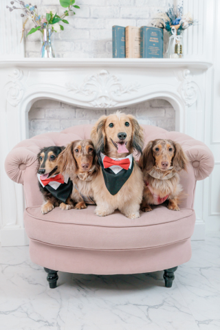 Rita closet・Rita Photo_提携スタジオ