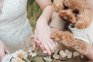 Rita closet・Rita Photo_ペット撮影