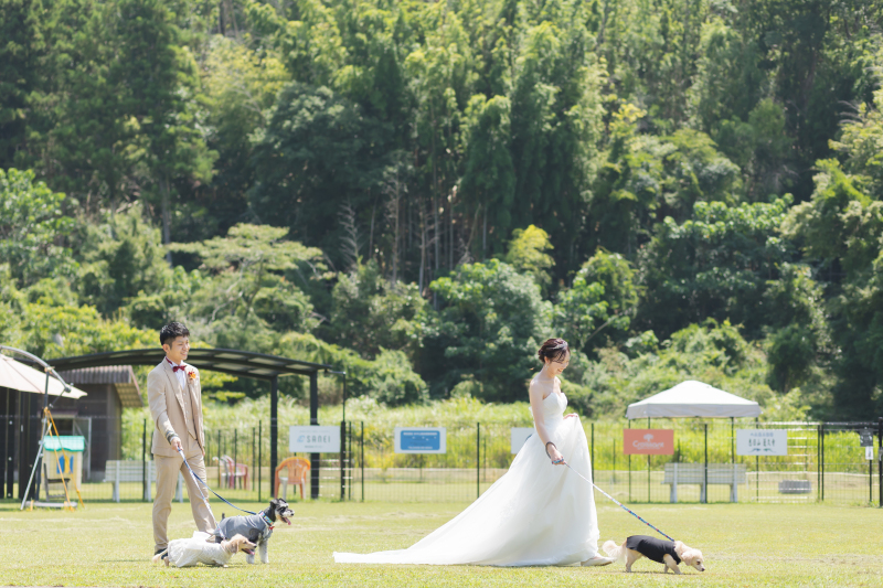 【平日撮影】マメノキドッグパーク✕Ritaclosetコラボ撮影企画!愛犬家さんへ