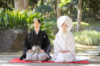 5月中の早割特典☆和装ロケ＆洋装ロケでどちらも着れる♪5月末までのご成約で、プランから１０％OFF