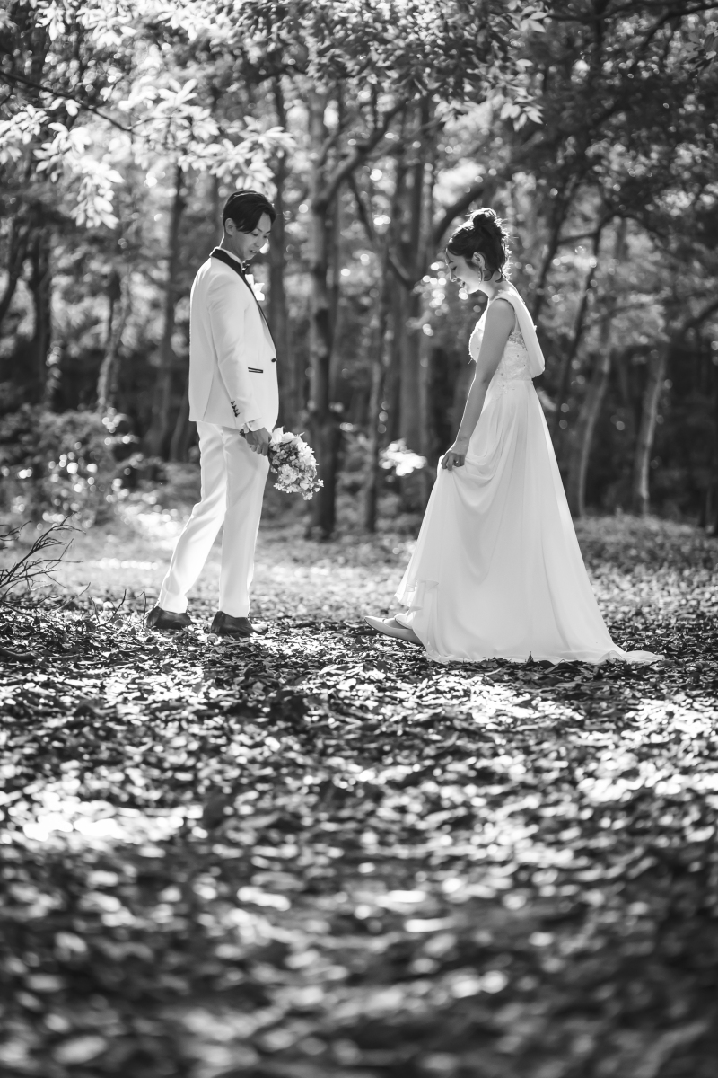 【毎月1組限定！！！】VOW VISIONモニタープラン★￥295,000&rarr;￥５５，０００！