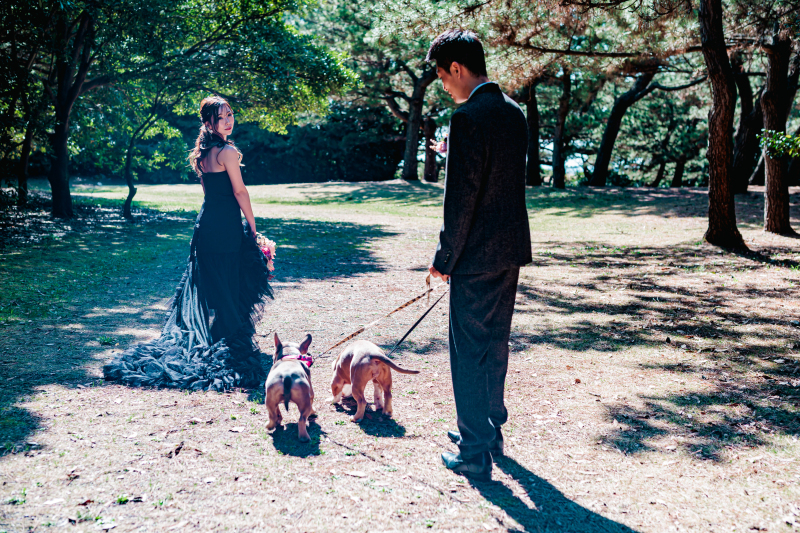 【2026年1月末までの撮影】愛犬と一緒に♪ドレス2着+洋装ロケーションプラン(抱っこOK)|¥219,100→¥165,000