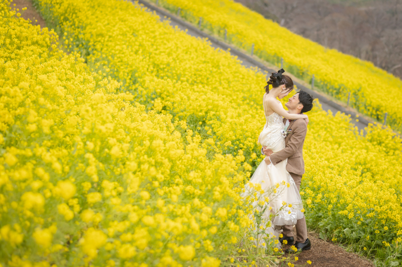 ¥30,000OFF☆お得なプラン!【洋装ロケプラン♪】ドレス追加料金なしで選び放題|¥150,000→¥120,000