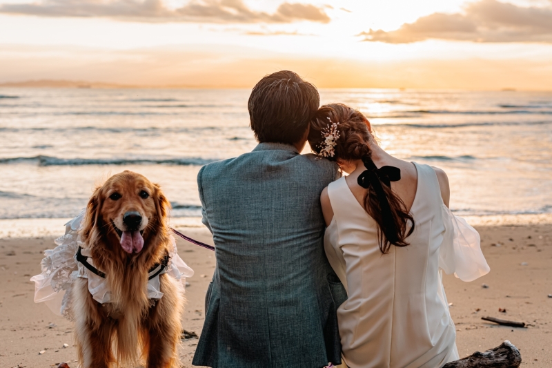 【12月1月の撮影】愛犬と一緒に♪洋装ロケーションプラン(抱っこOK)|¥219,100→¥135,000