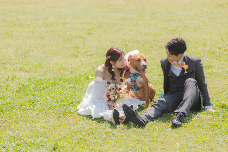 【平日限定】35,000円OFF♡|愛犬と一緒に♡洋装ロケドレス追加料金なしで選び放題¥172,000→¥137,000