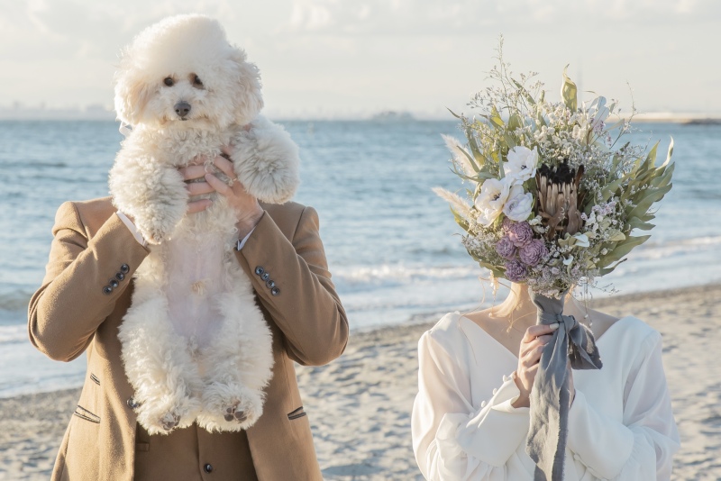 【12月1月の撮影】愛犬と一緒に♪洋装ロケーションプラン(抱っこOK)|¥219,100→¥135,000