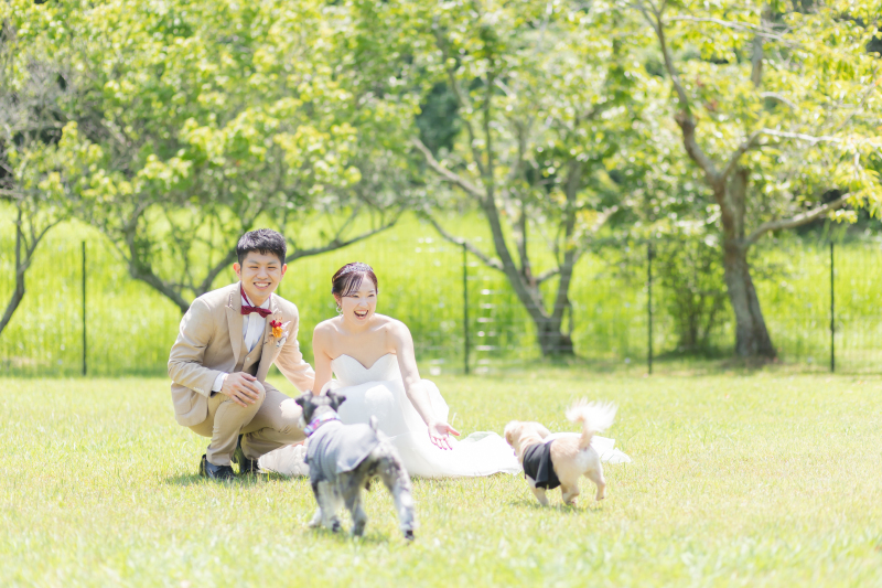 【平日撮影】マメノキドッグパーク✕Ritaclosetコラボ撮影企画!愛犬家さんへ