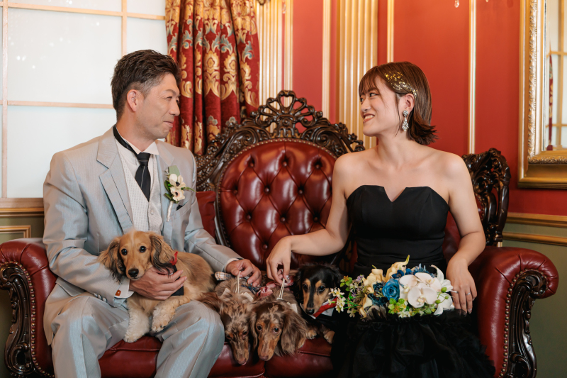 【愛犬と一緒に】洋装スタジオプラン(抱っこもOK)衣装のランクアップ