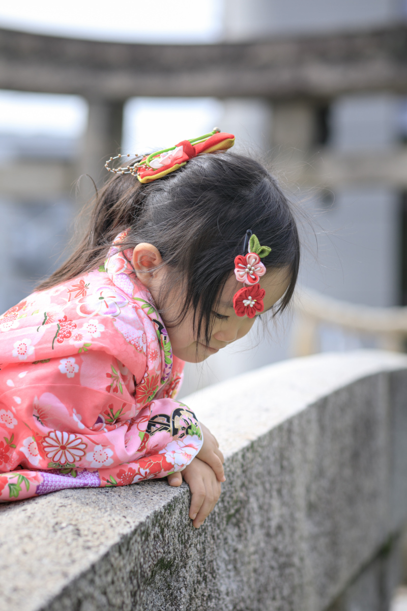 一般撮影半額キャンペーン!