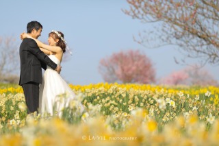 色鮮やかなお花と