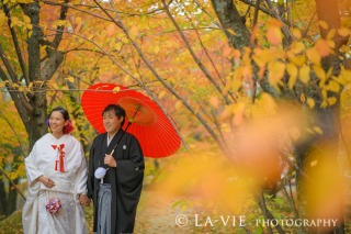 紅葉早割キャンペーン