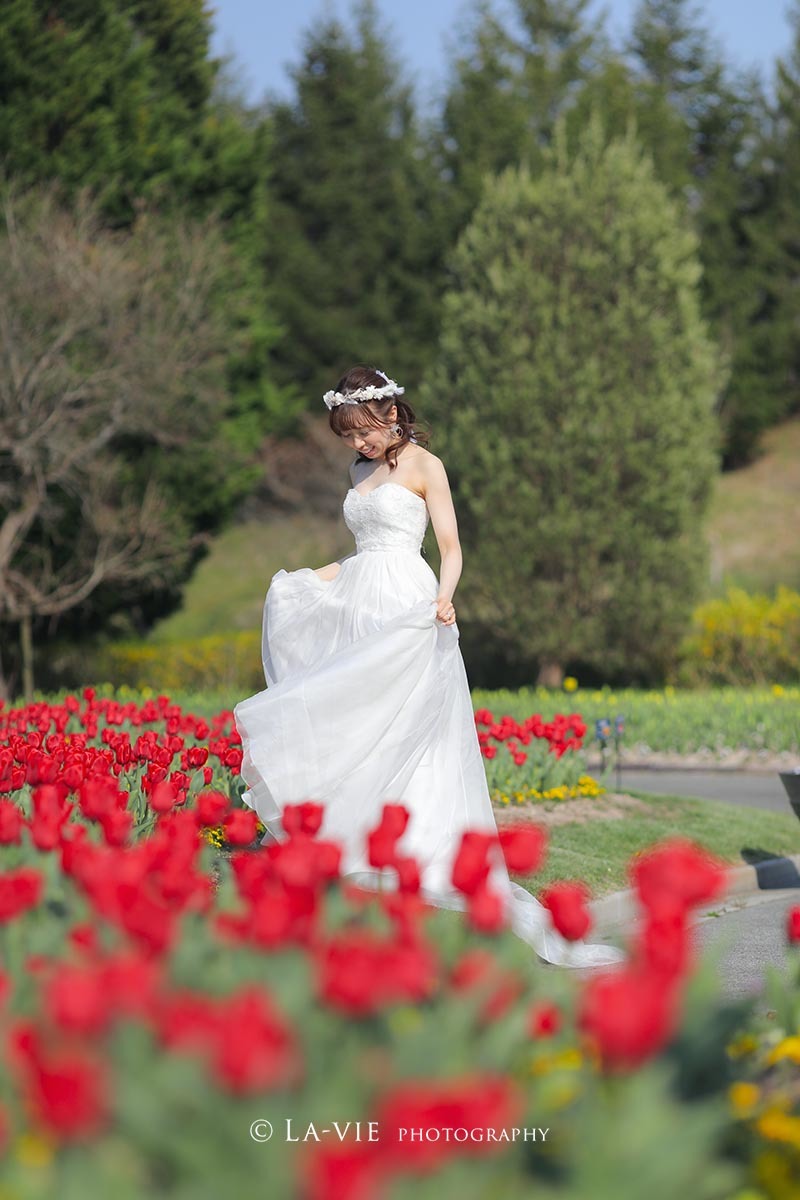 四季折々のお花