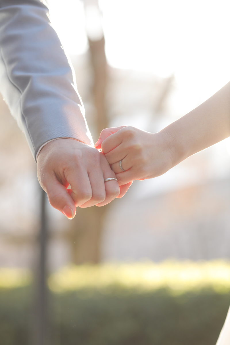 ドリームキャンペーン実施中