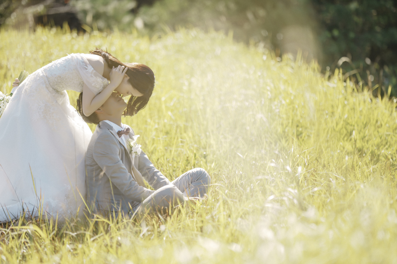 シャングリラ ~幸せな一日~