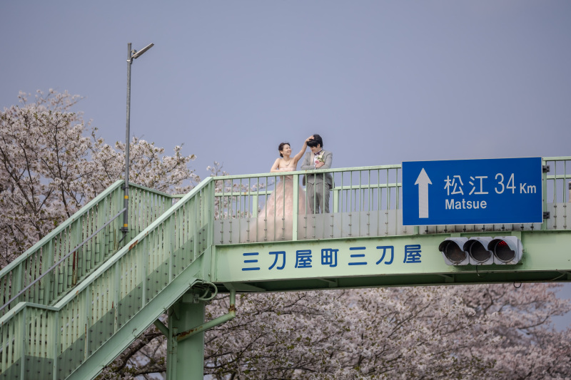 今年の桜も凄かったです！
