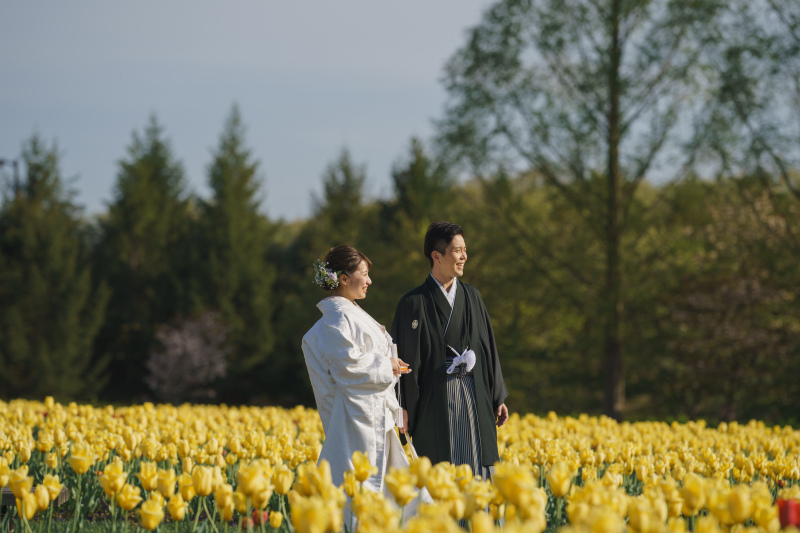 夏はひまわり畑が人気!
