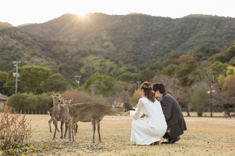 宮島の鹿と一緒に