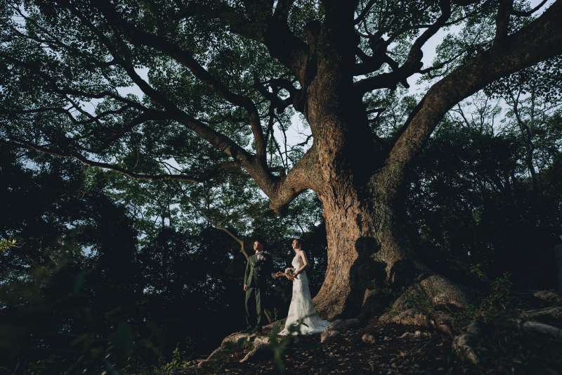 シャングリラ~煌めく夜~