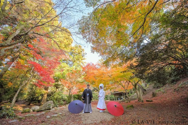 紅葉ロケーション