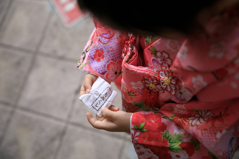 一般撮影半額キャンペーン実施中!