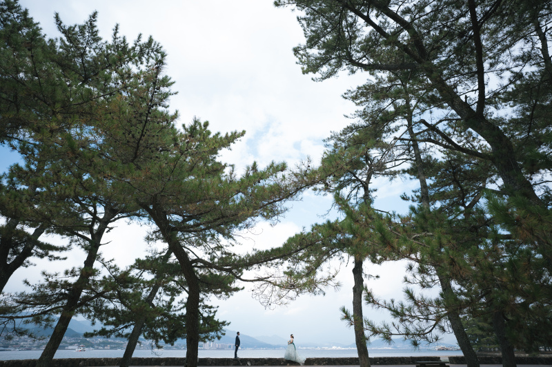 ご覧いただきありがとうございました!!