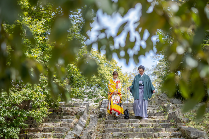 今日の桜は見頃かな？