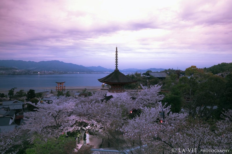 洋装もおすすめです^^