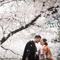 桜ロケーション