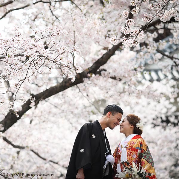 桜ロケーション