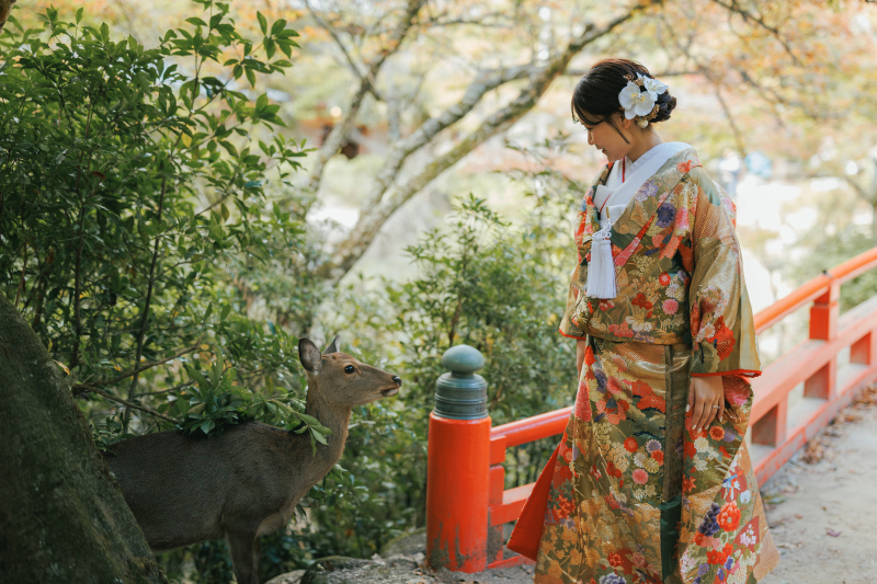 新婦様とシカ