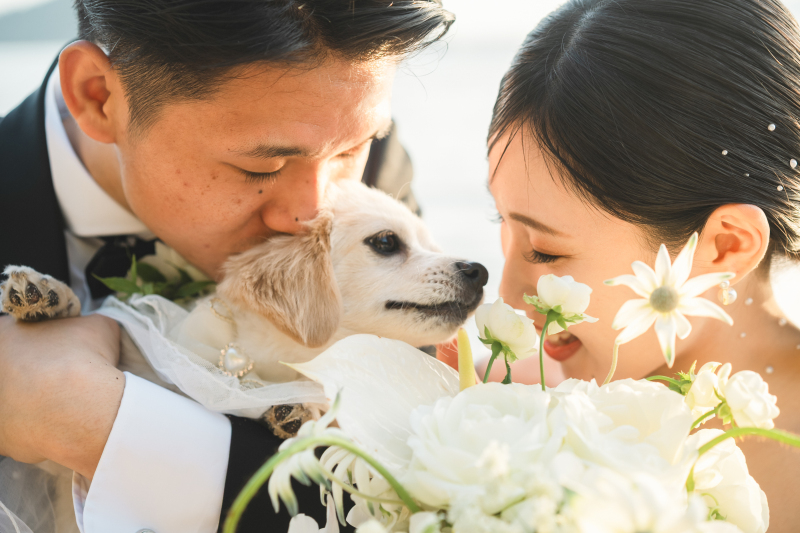 わんちゃんも一緒に！フォトウェディング！
