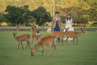 静かな公園でお二人の世界を