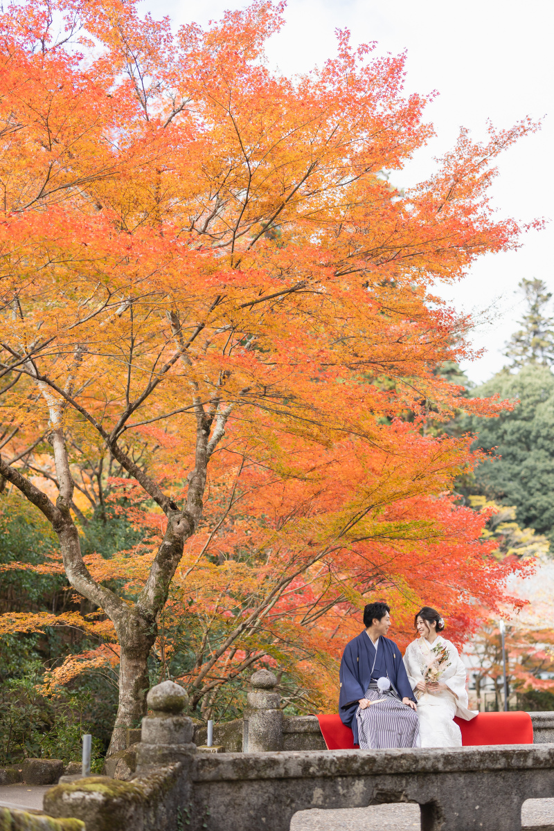 色付いた木々の下で