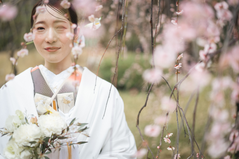 梅のカーテン♪