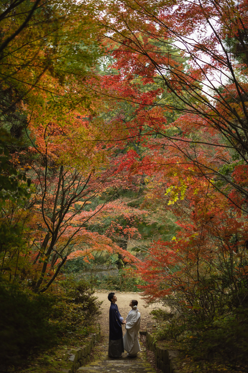ご閲覧いただきありがとうございます!