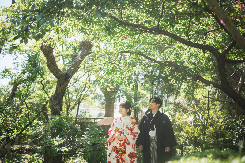 緑に包まれて。