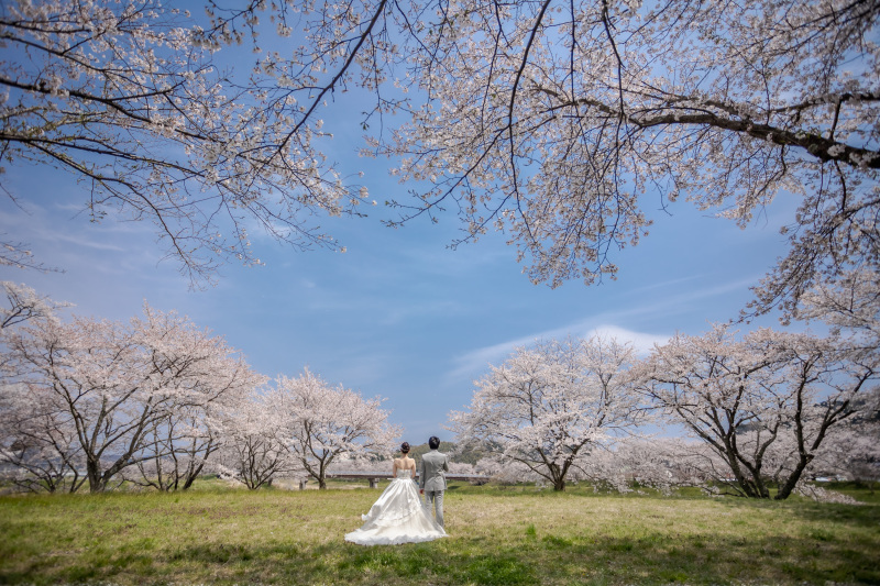 緑に青に、ピンクの桜