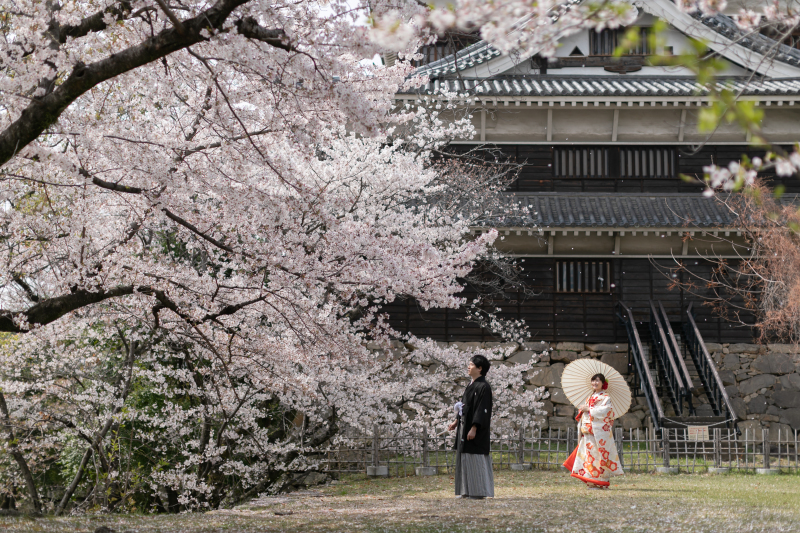 和装＋お城＋桜
