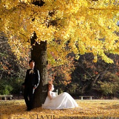 秋キャンペーン