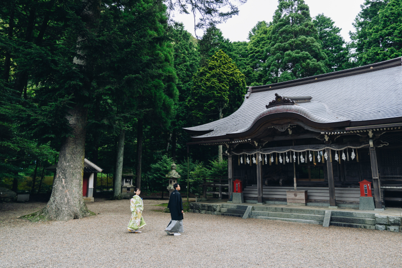これからの新緑にも！